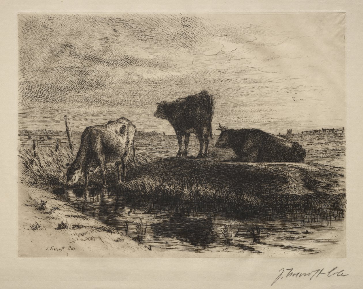 De tre korna av Joseph Foxcroft Cole