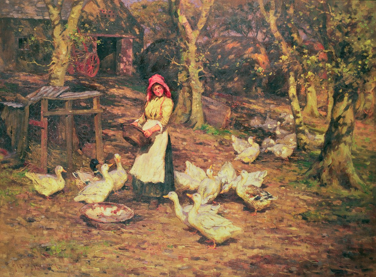 Mata ankorna av Joseph Harold Swanwick