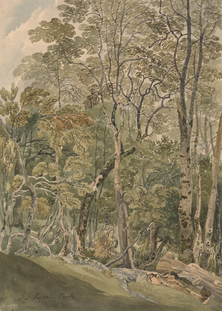 I Rydalparken av Joseph Powell