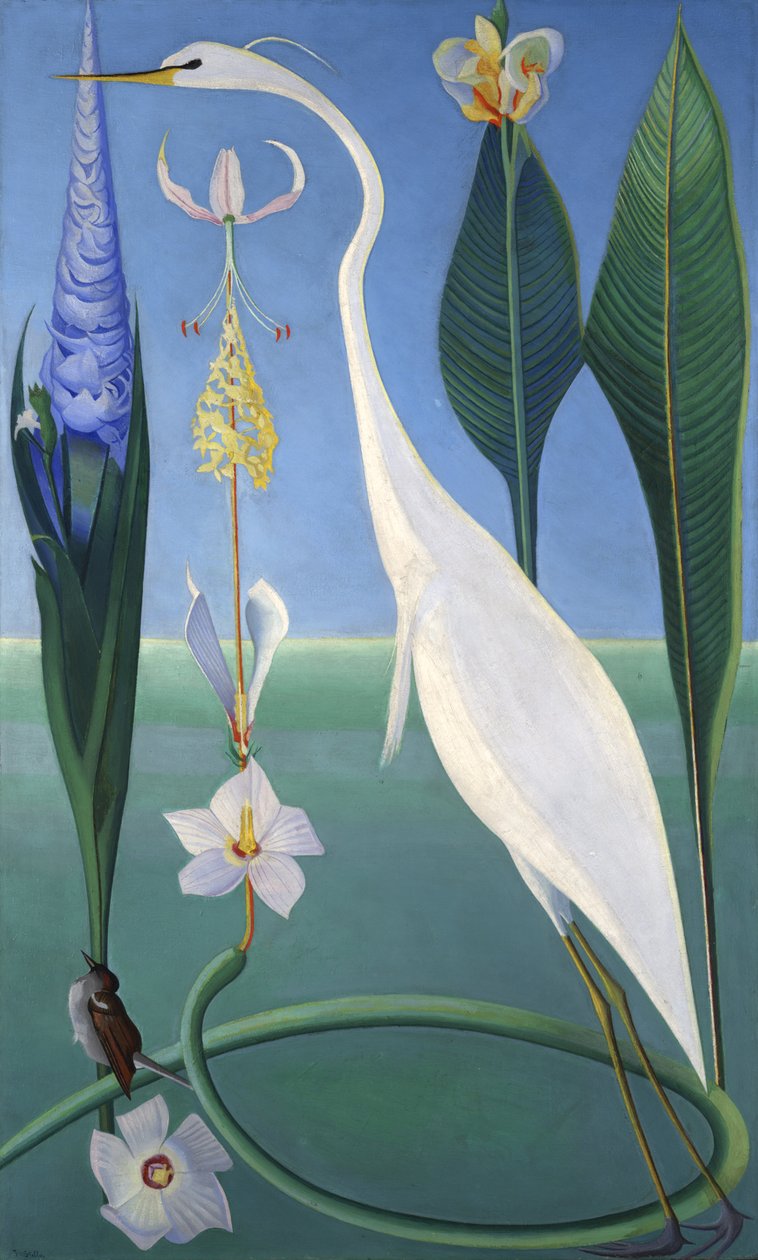 Den vita hägern av Joseph Stella