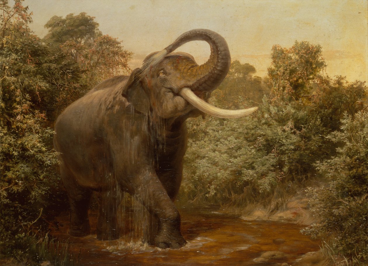 Monster Tusker (olja på duk) av Joseph Wolf