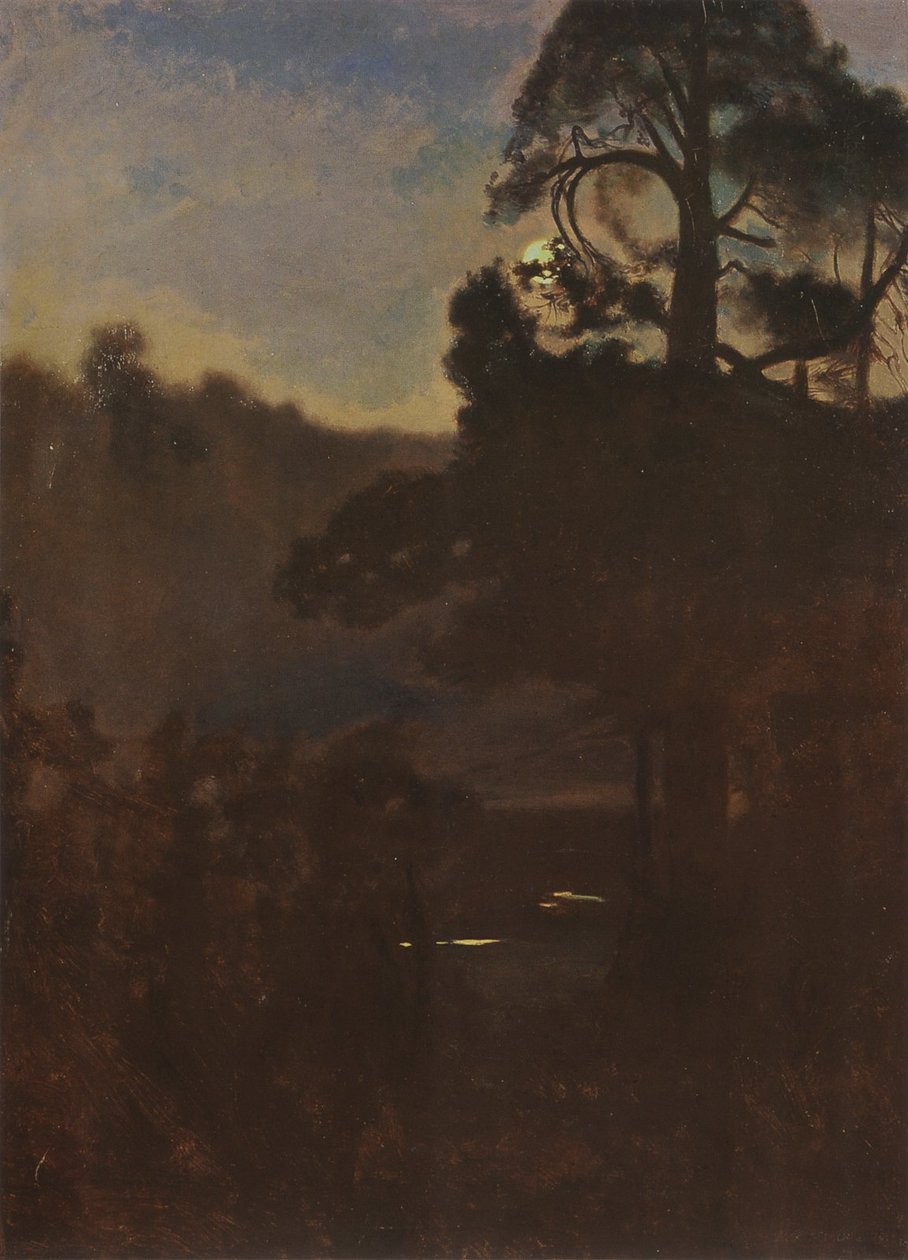 Moonlight night av Jozef Marian Chemonski