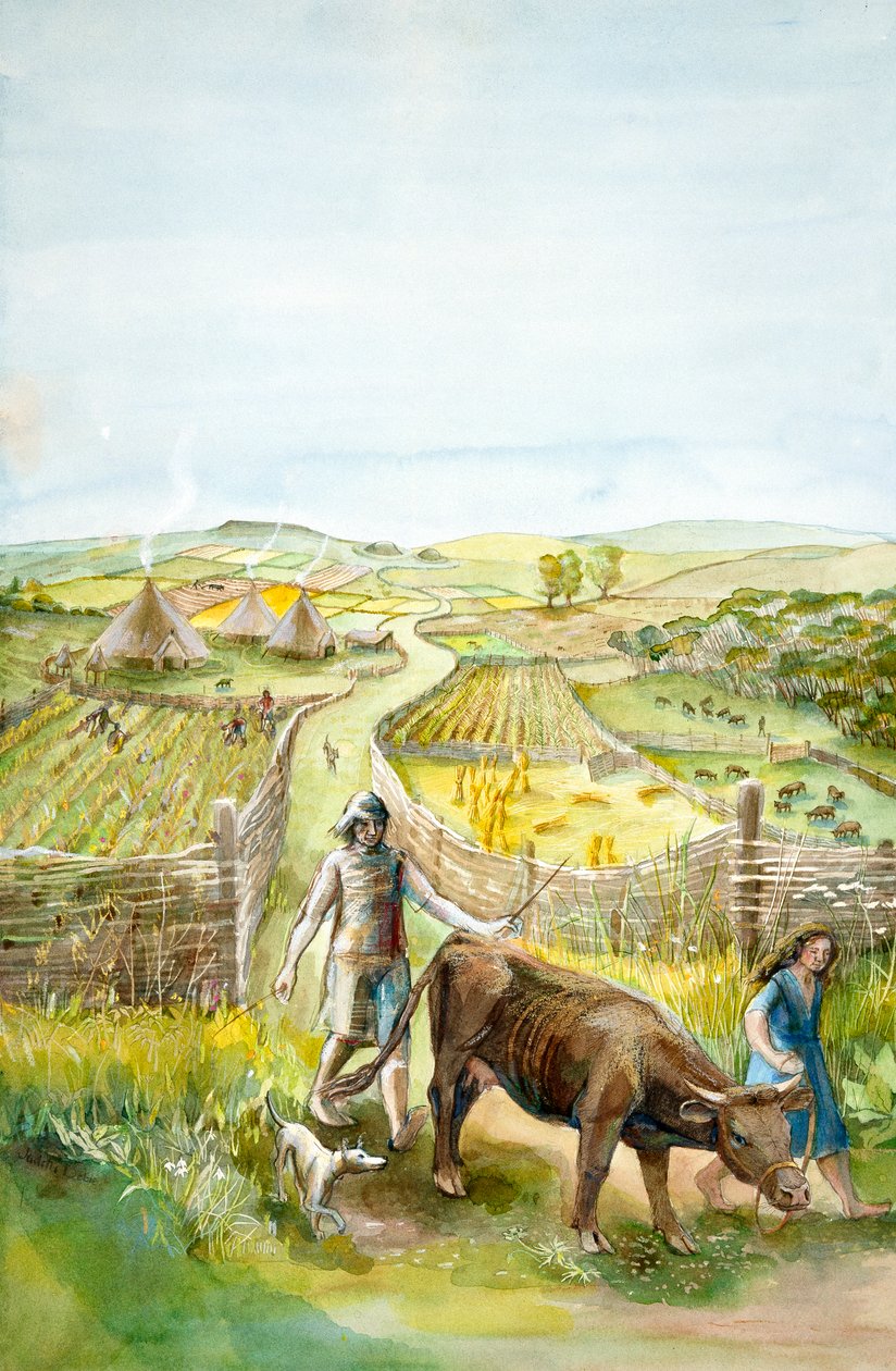 Landsbygdslandskap, 2000 f.Kr., c1990-2010 av Judith Dobie