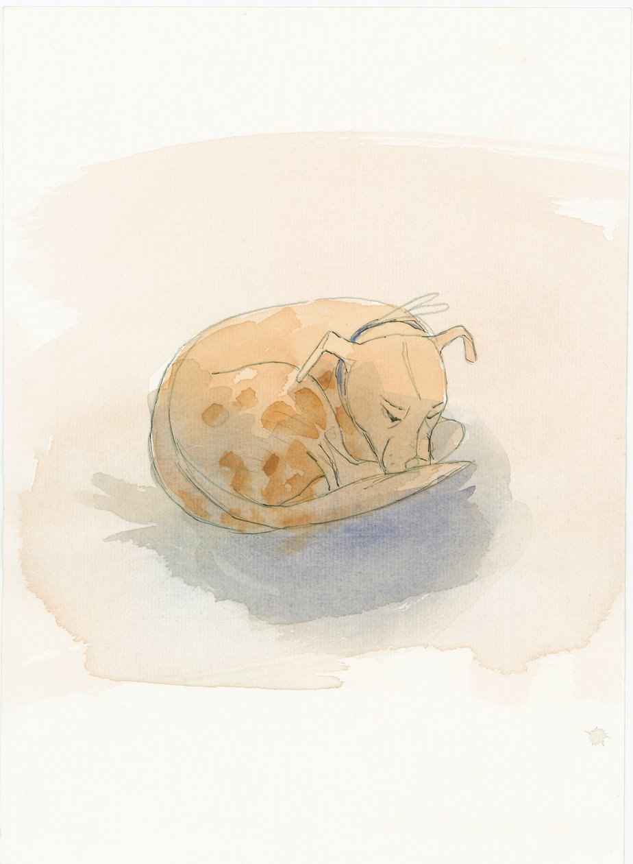 Sovande hund, 2003. av Judith Dobie