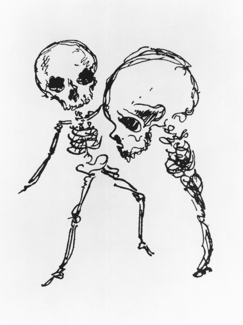 Skelett, illustration från 