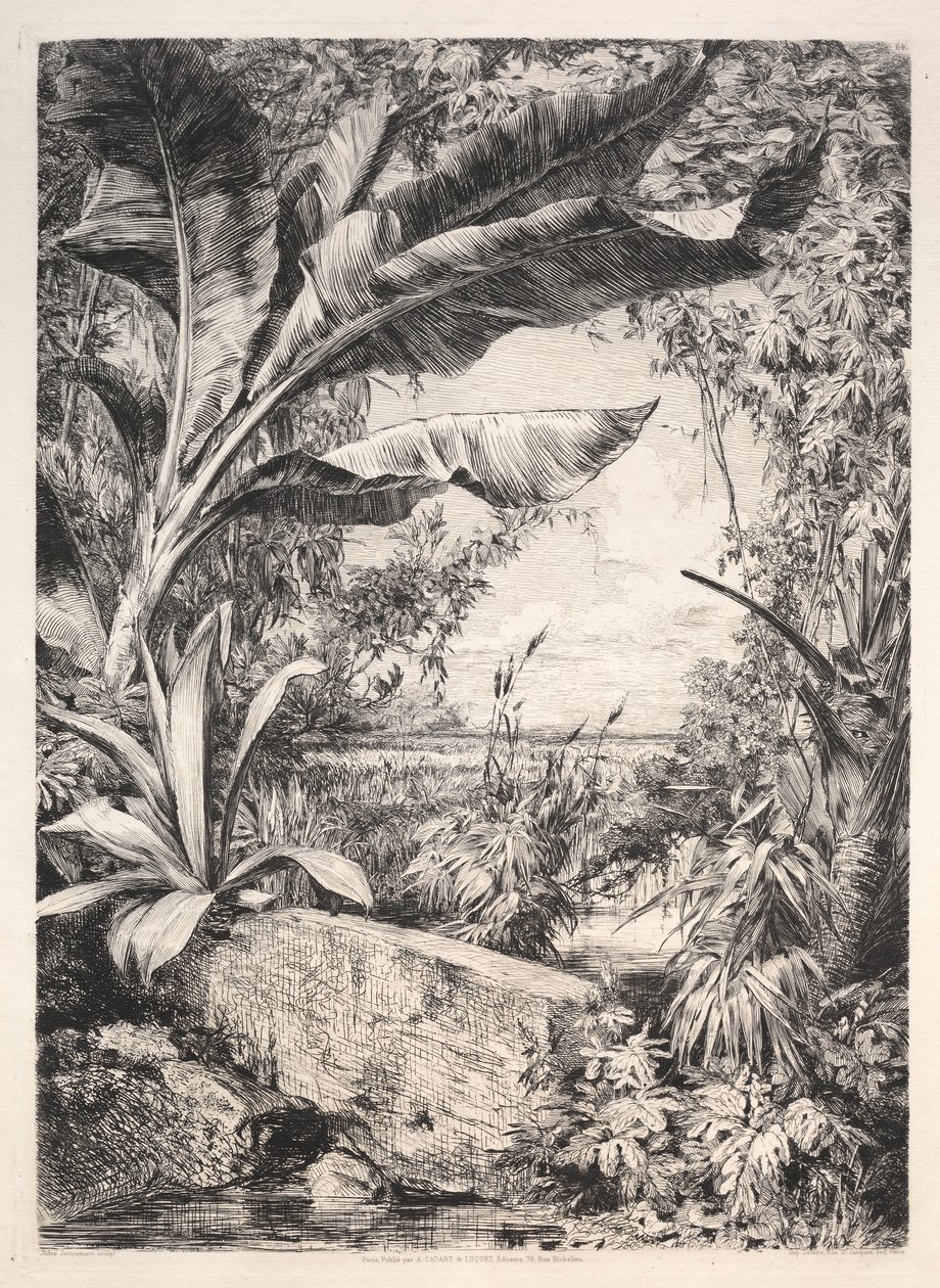 Växthusets växter, 1872. av Jules Ferdinand Jacquemart