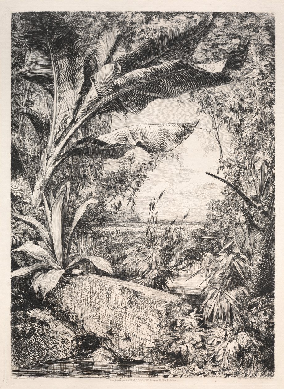 Växthusets växter av Jules Jacquemart