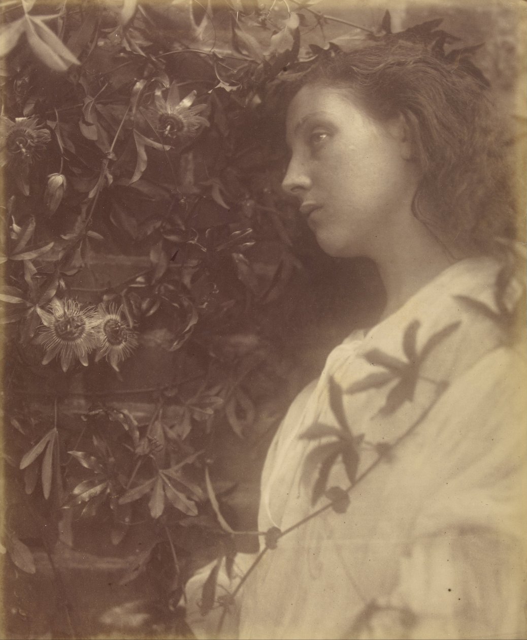 Maud There has Fallen a splendid Tear From the Passion Flower at the Gate av Julia Margaret Cameron