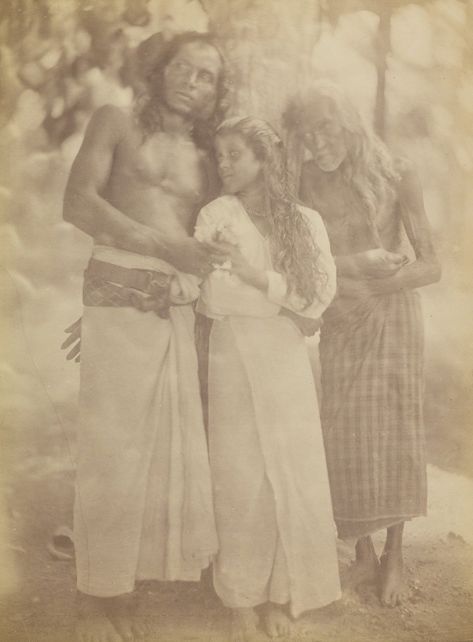 [Ceylonesisk grupp vid ett träd], 1878. av Julia Margaret Cameron