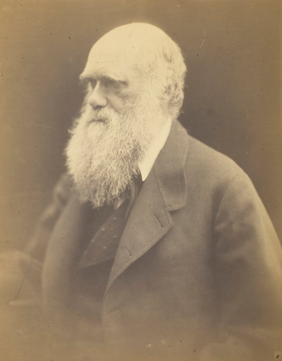 Charles Darwin, 1868. av Julia Margaret Cameron