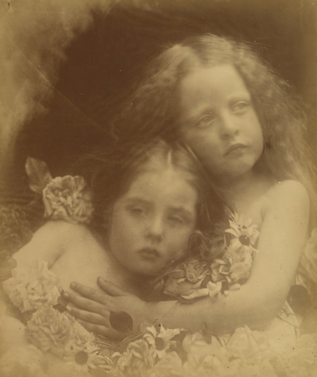 English Blossoms, 1873. av Julia Margaret Cameron