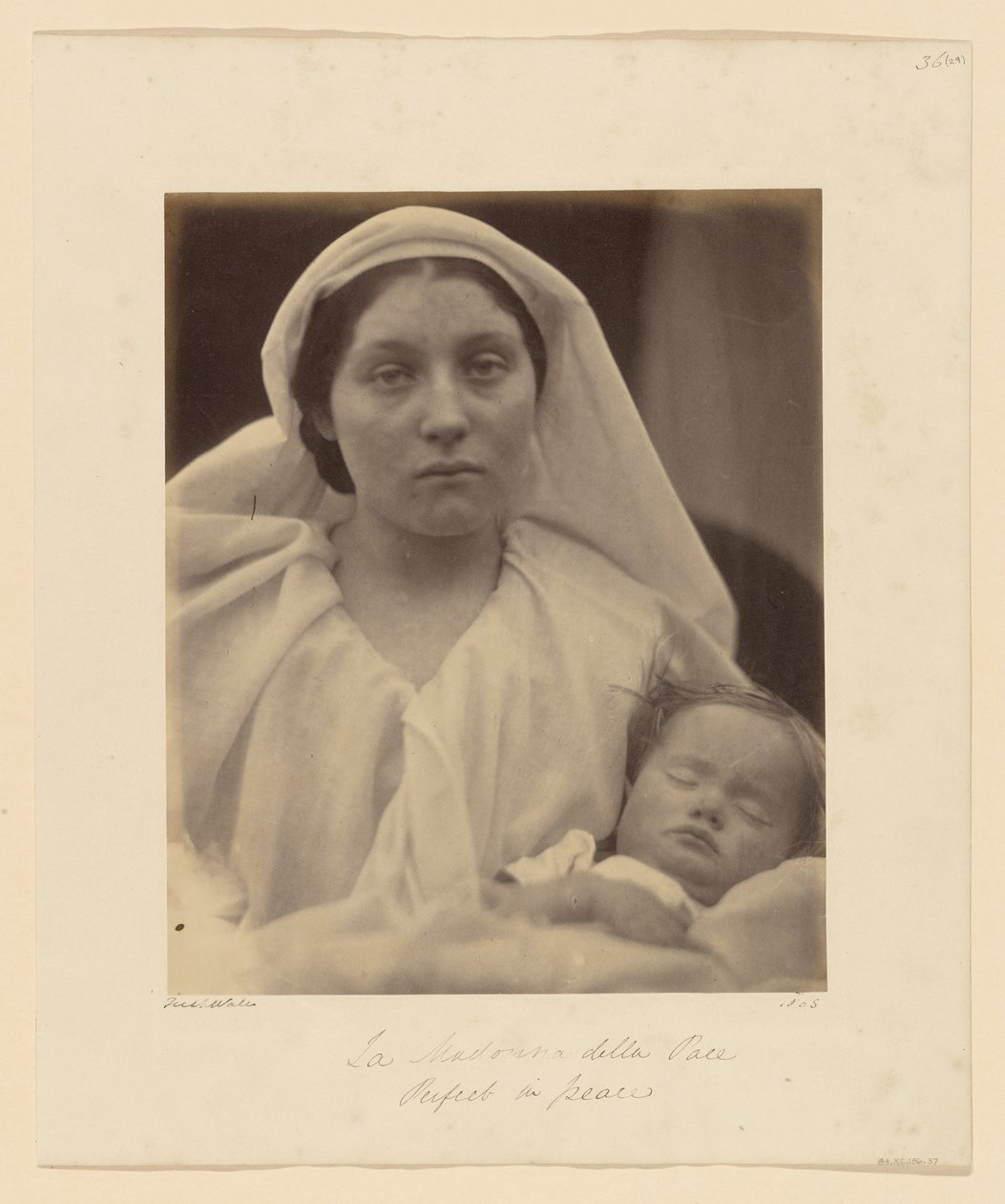Vår Fru av Fred av Julia Margaret Cameron