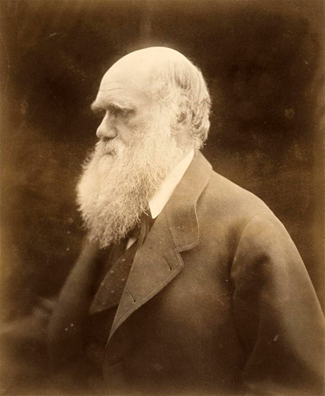 Porträtt av Charles Darwin, 1868 av Julia Margaret Cameron