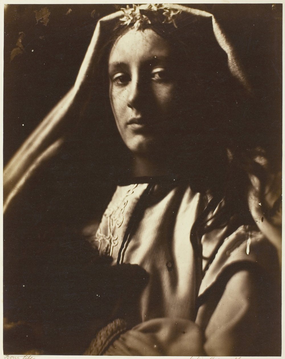 The Neopolitan, 186465. av Julia Margaret Cameron