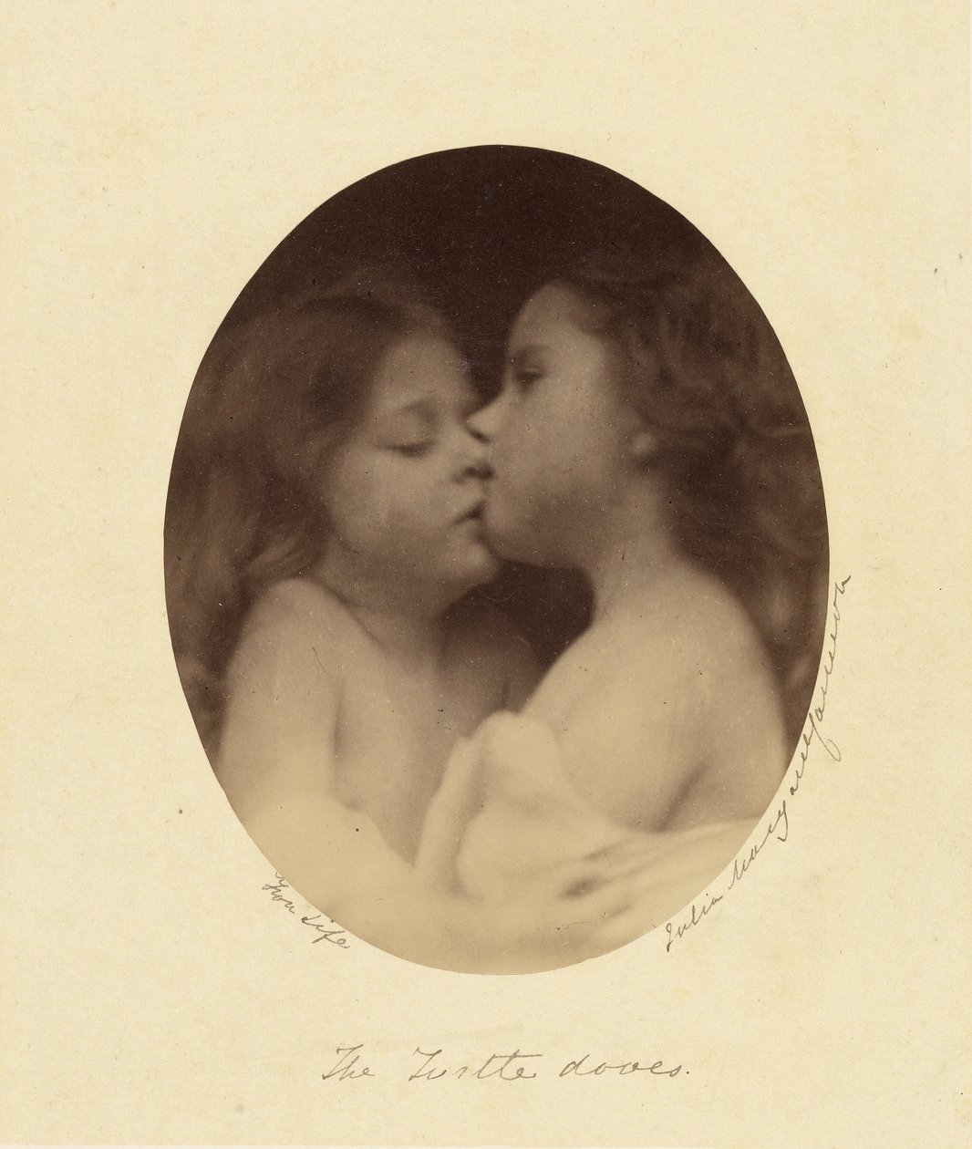 Sköldpaddsduvorna av Julia Margaret Cameron