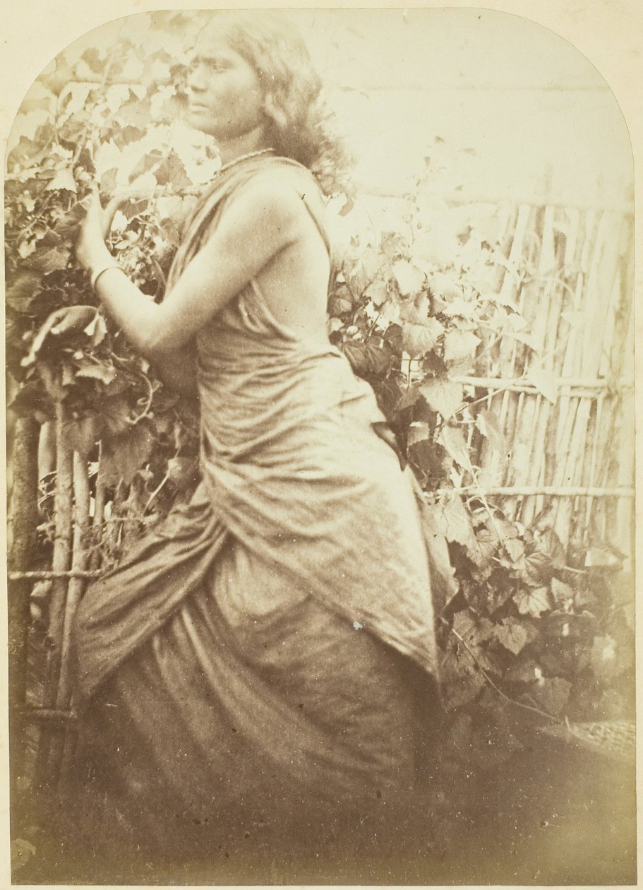 Kvinna, Ceylon, 187579. av Julia Margaret Cameron