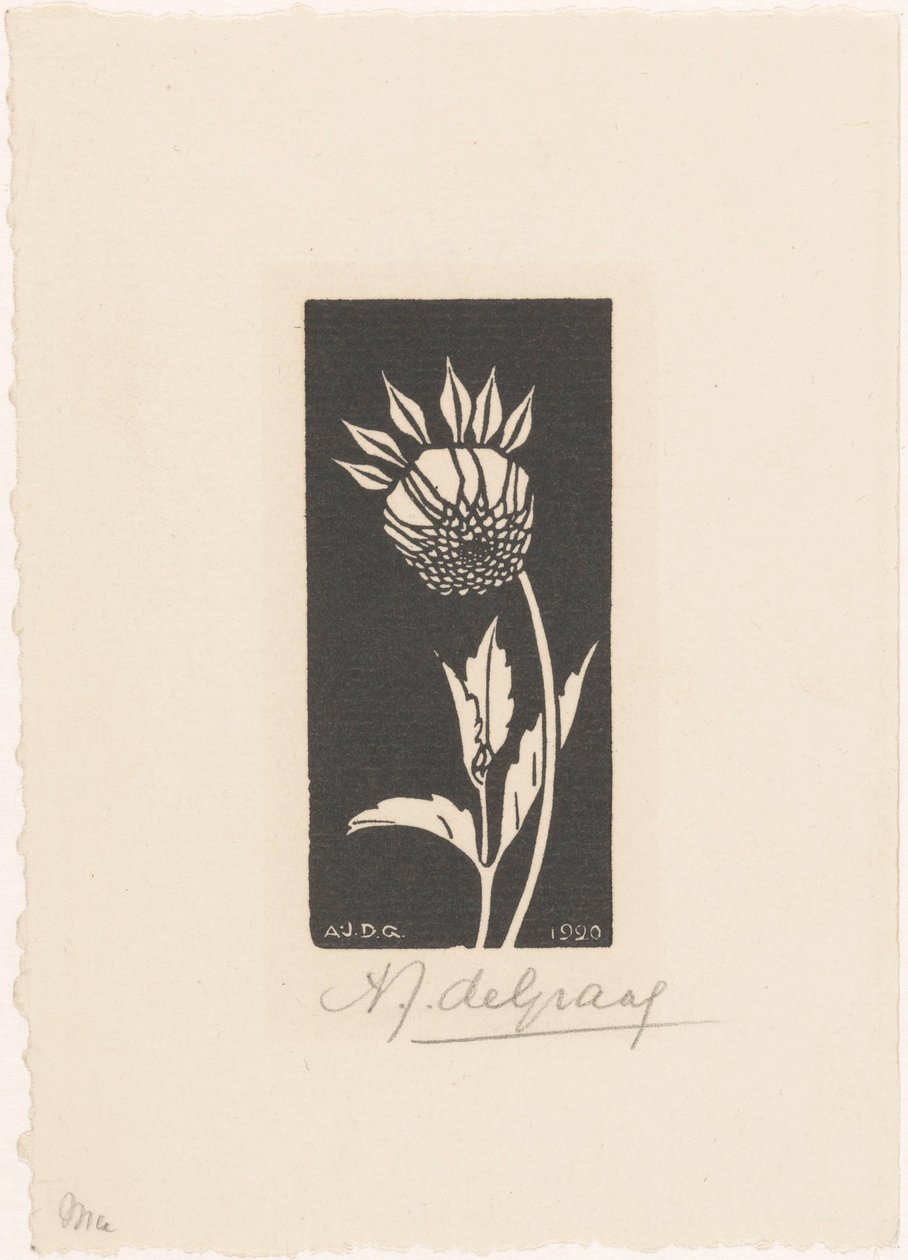 Dahlia av Julie de Graag (signed by artist)