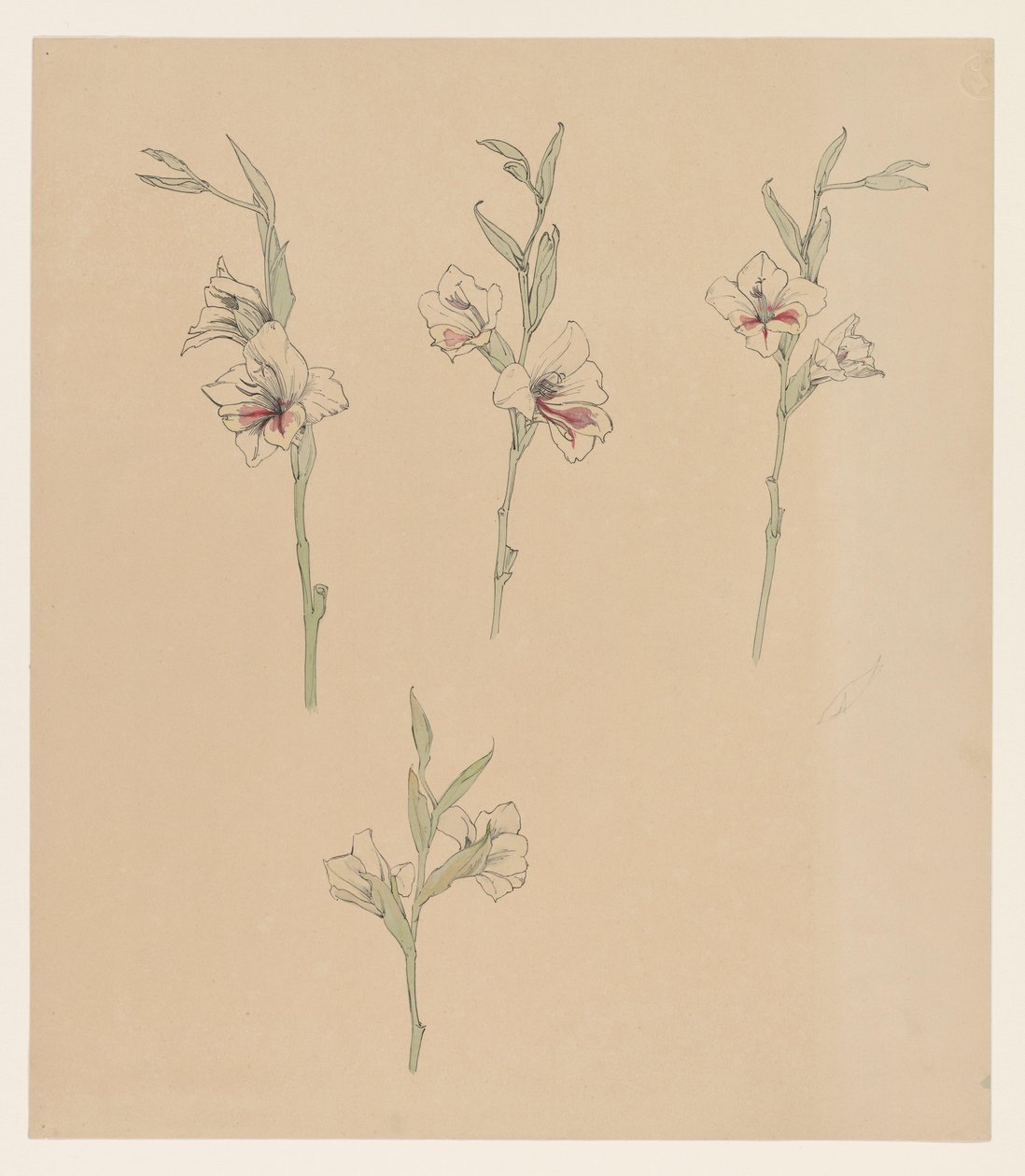 Blomsterstudier av Julie de Graag