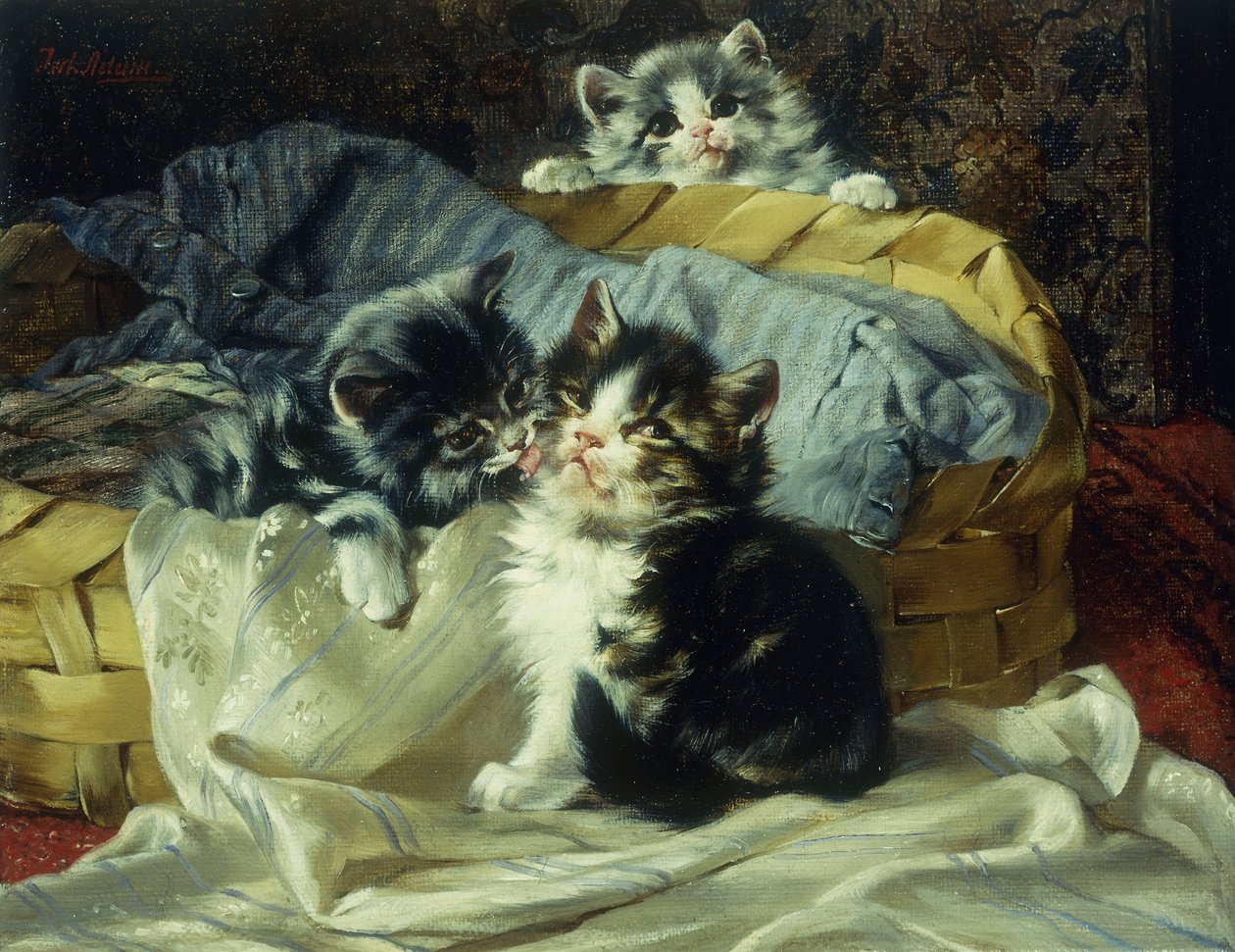 Lekfulla kattungar av Julius Adam