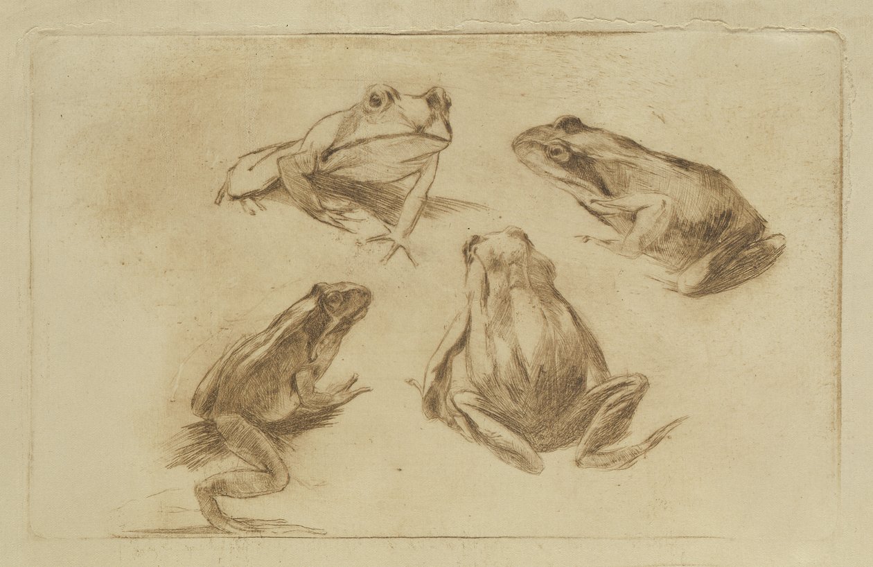 Grodor av Julius Wohlers