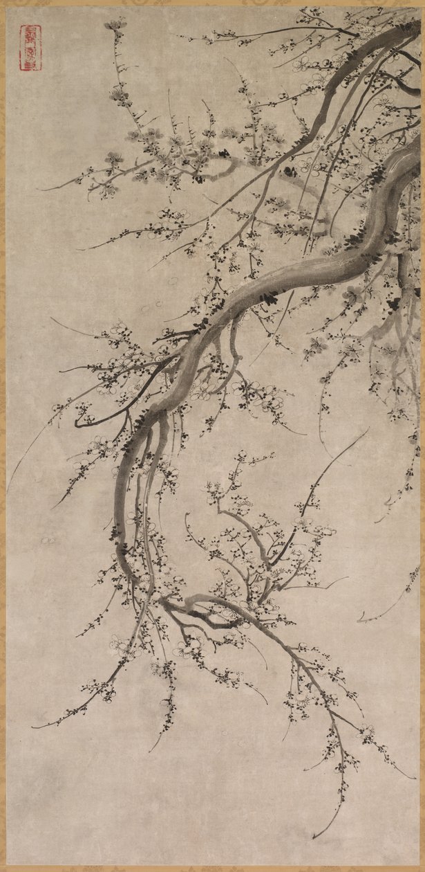 Prunus, 1600-talet. av Kano Ein