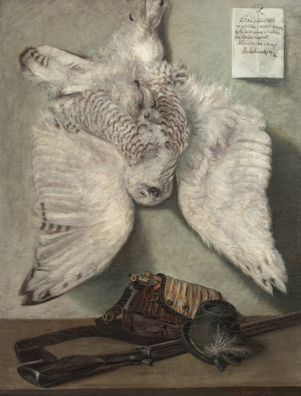 Snowy Owl av Karel Purkyne