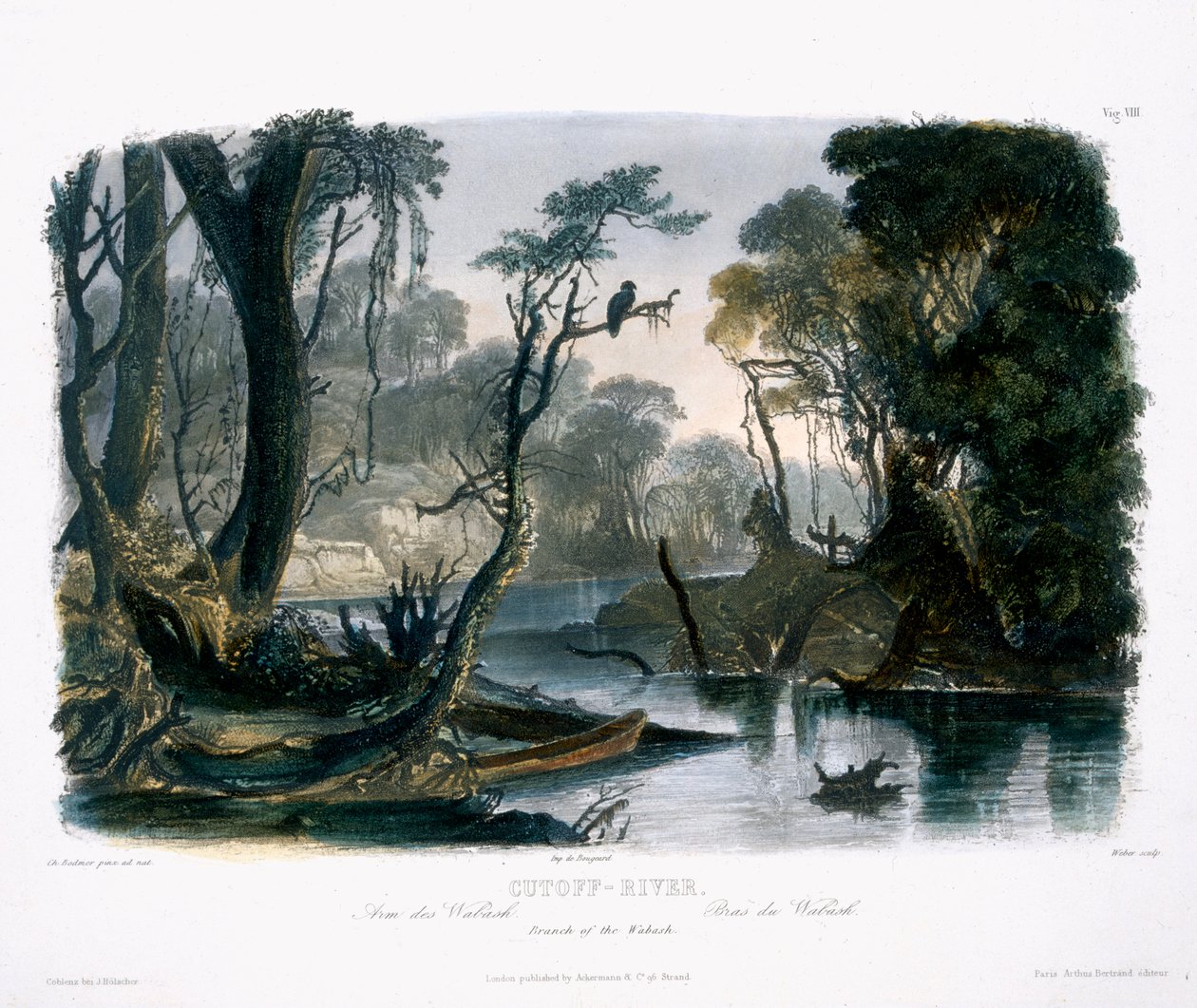 Cutoff River, gren av Wabash, tavla 8 från volym 1 av "Travels in the Interior of North America", graverad av Lucas Weber, 1843 (akvatint) av Karl Bodmer