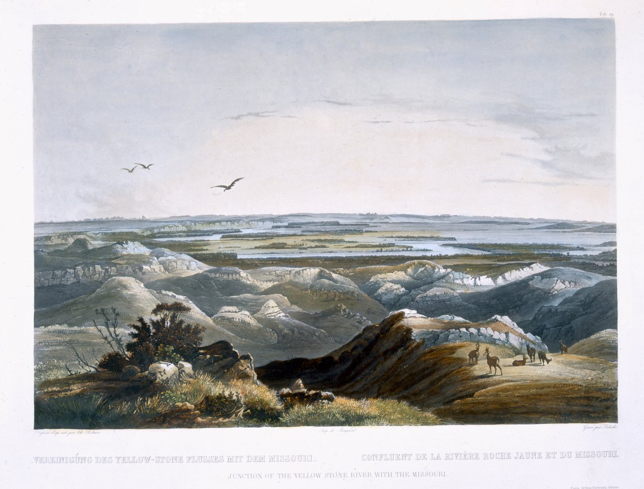 Junction of the Yellow Stone River med Missouri, skylt 29 från volym 2 av "Resor in the Interior of North America", graverad av Friedrich Salathe (1793-1858) 1844 (akvatint) av Karl Bodmer