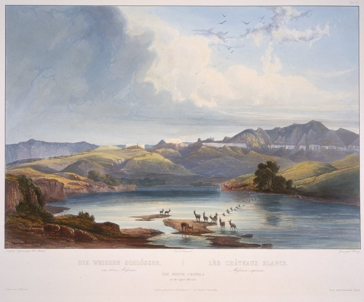 De vita slotten på övre Missouri av Karl Bodmer