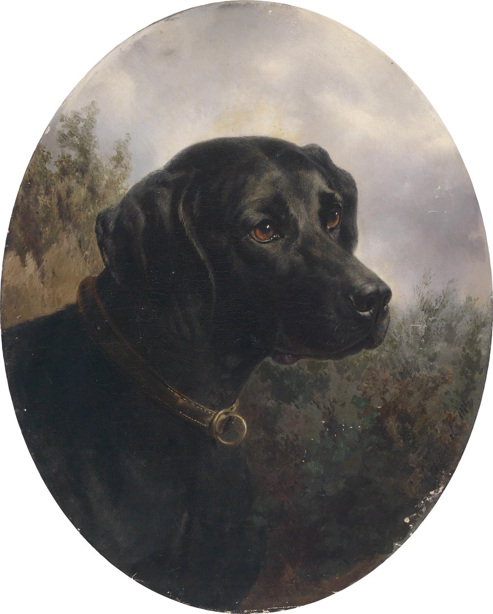 Hector, pekhund av Arthur Ritter v. Snapper av Karl Reichert