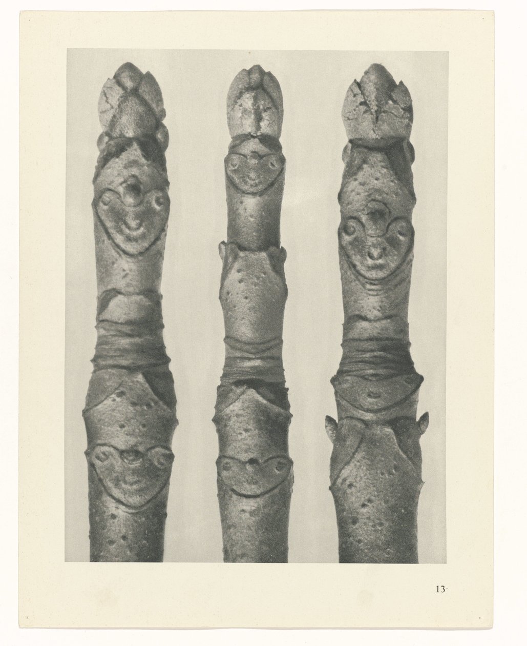 planera studien Archetypes of Art (serietitel) av Karl Blossfeldt