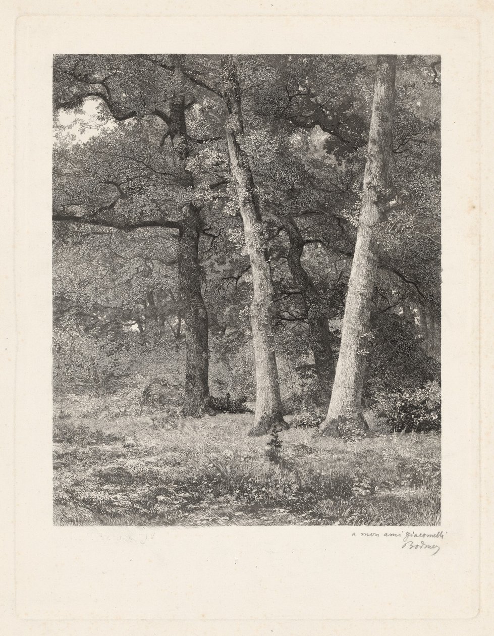 En skogsröjning. av Karl Bodmer