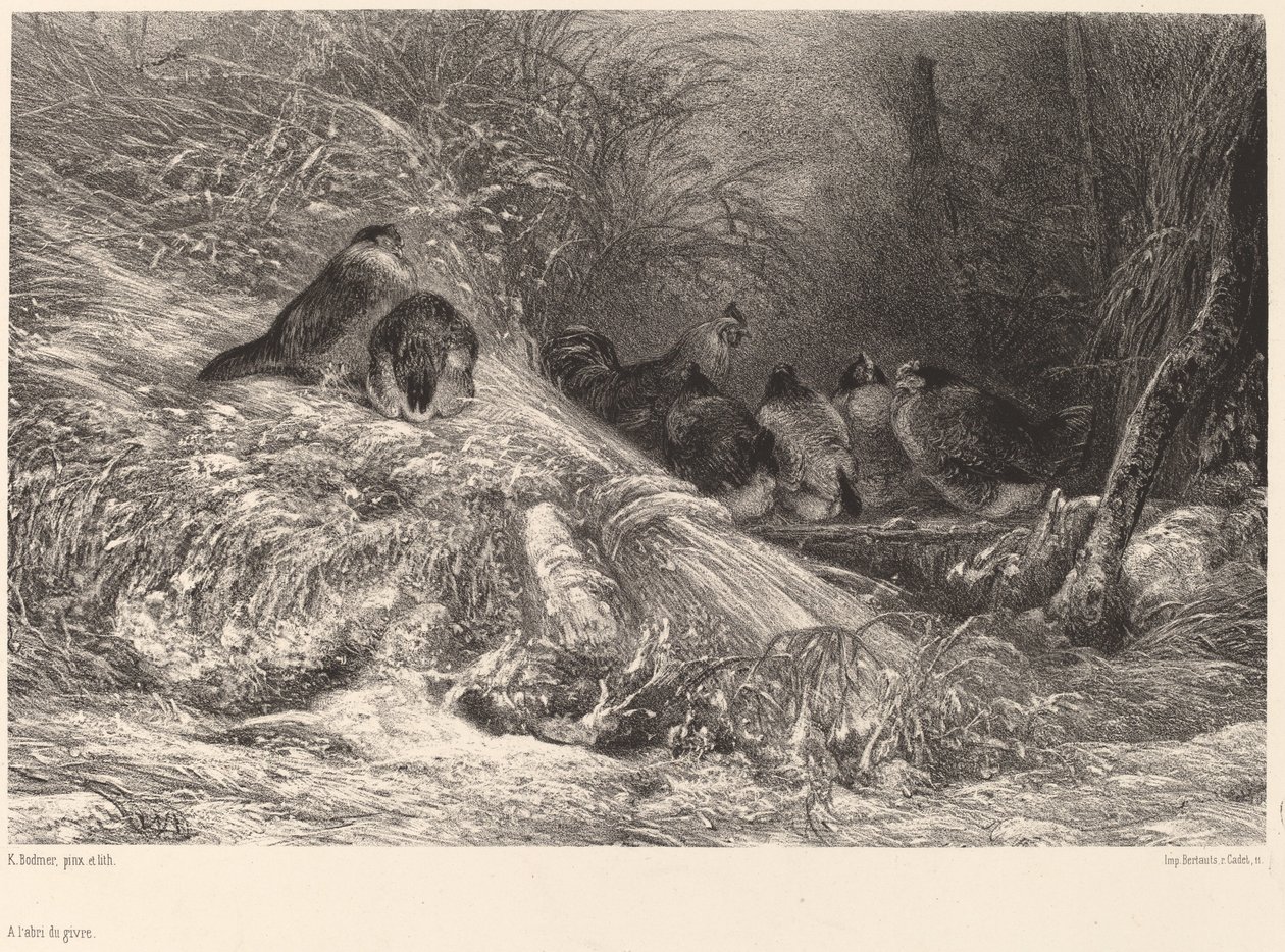 Skydd från frosten av Karl Bodmer