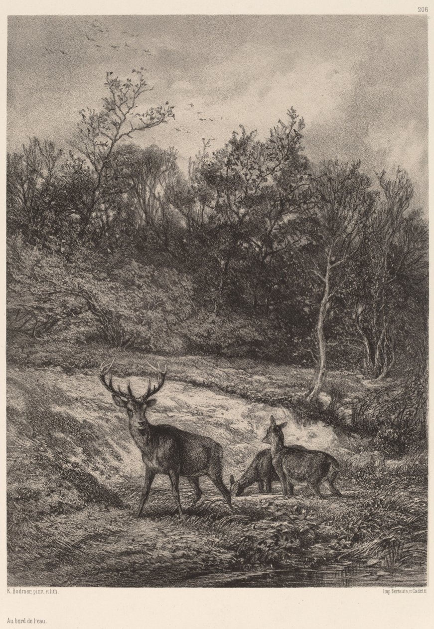 Vid vattenbrynet. av Karl Bodmer