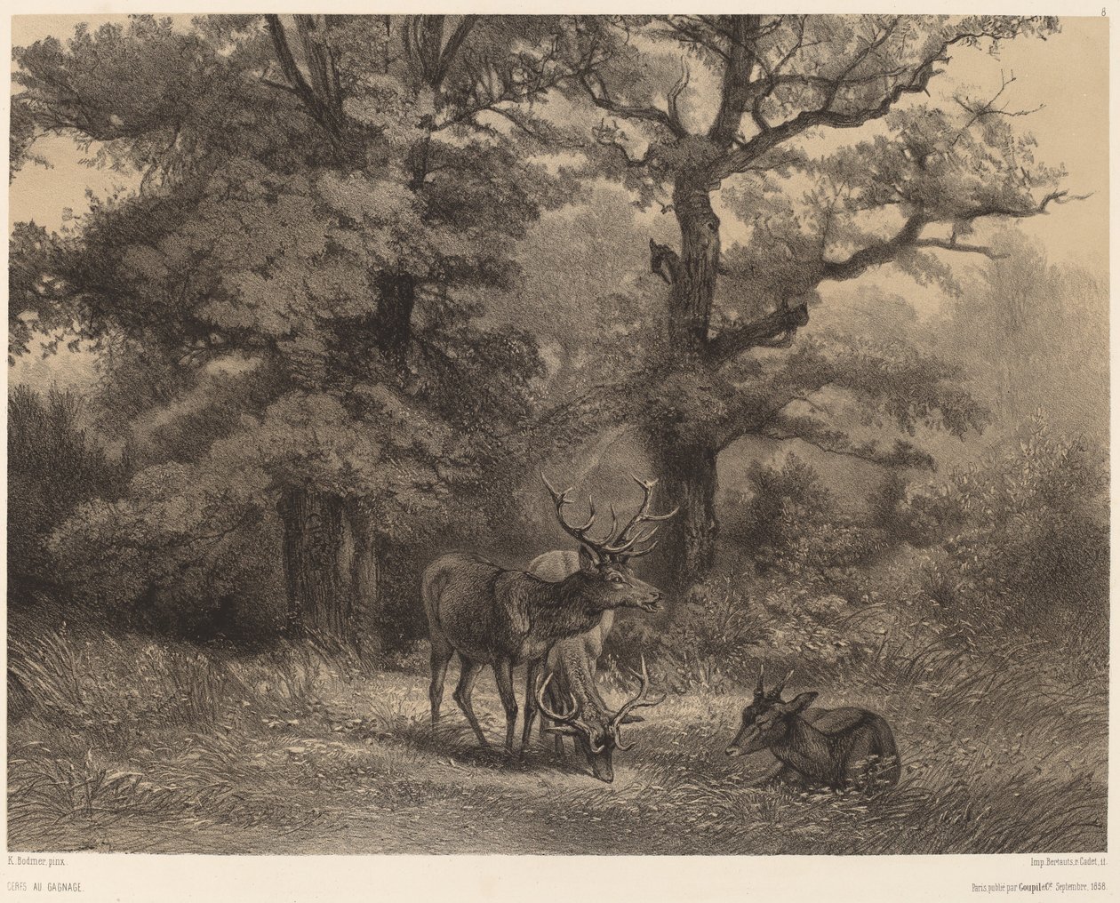 Rådjur vid Gagnage av Karl Bodmer