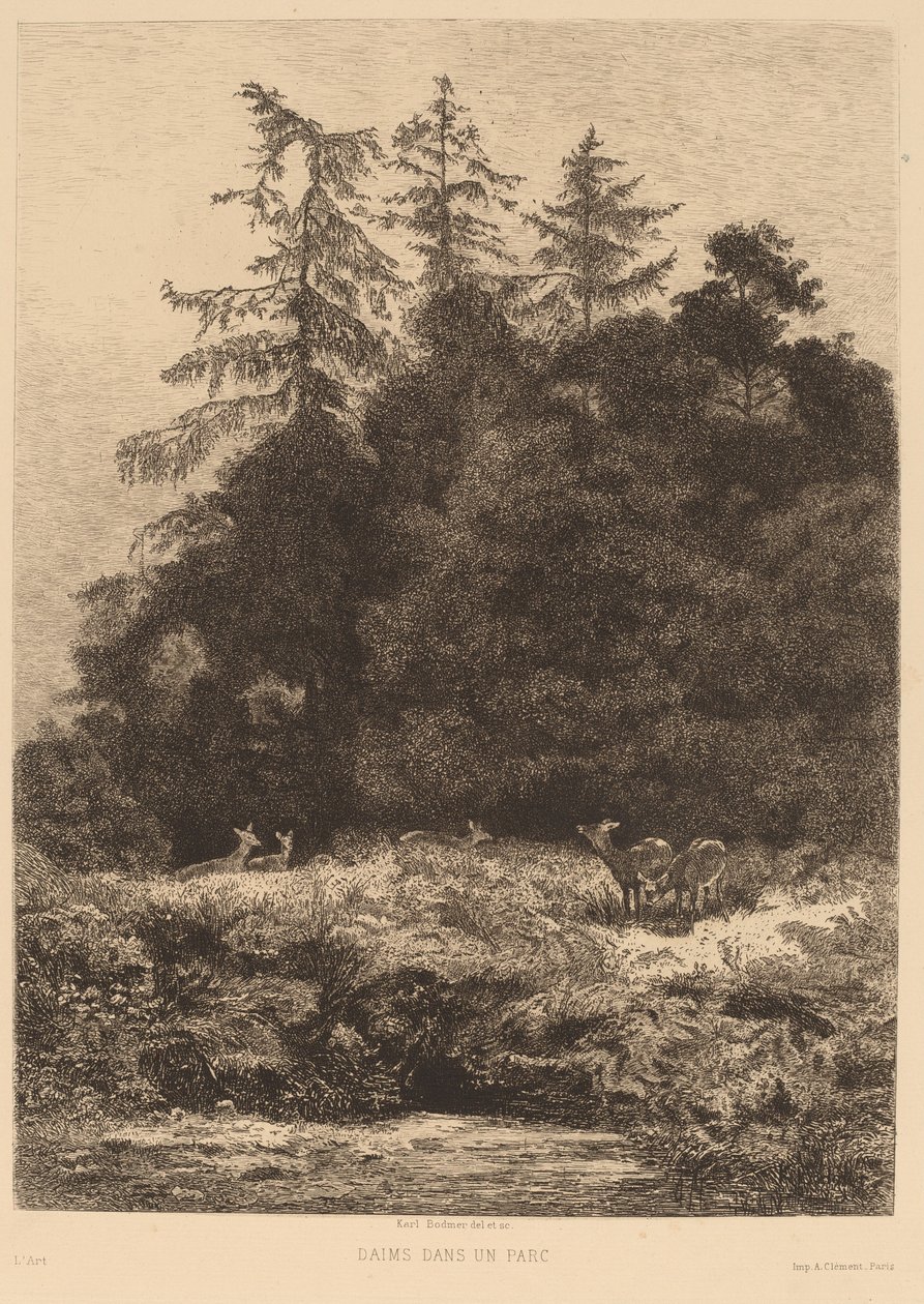 Dovhjort i en park. av Karl Bodmer