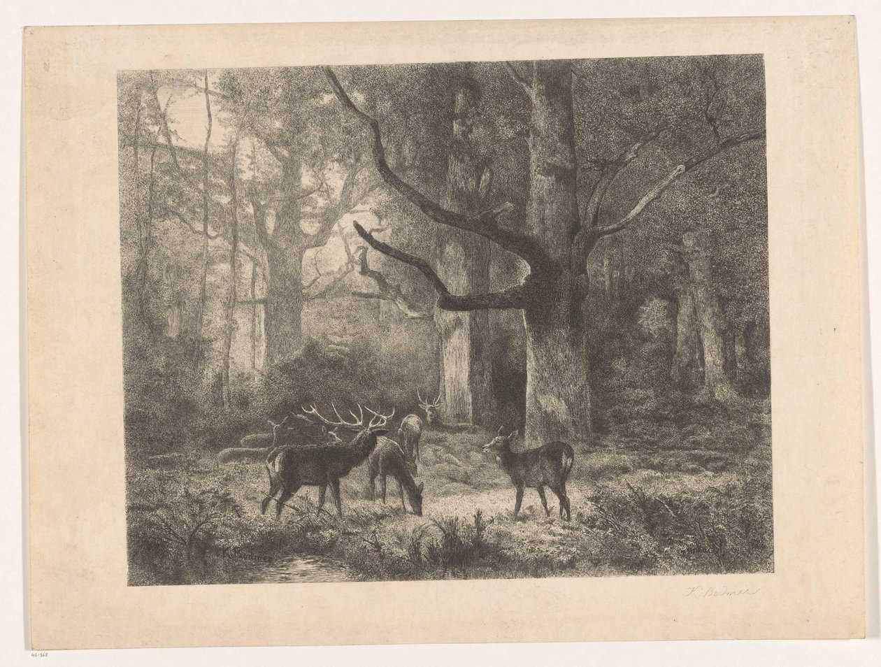 Rådjur i en skog av Karl Bodmer
