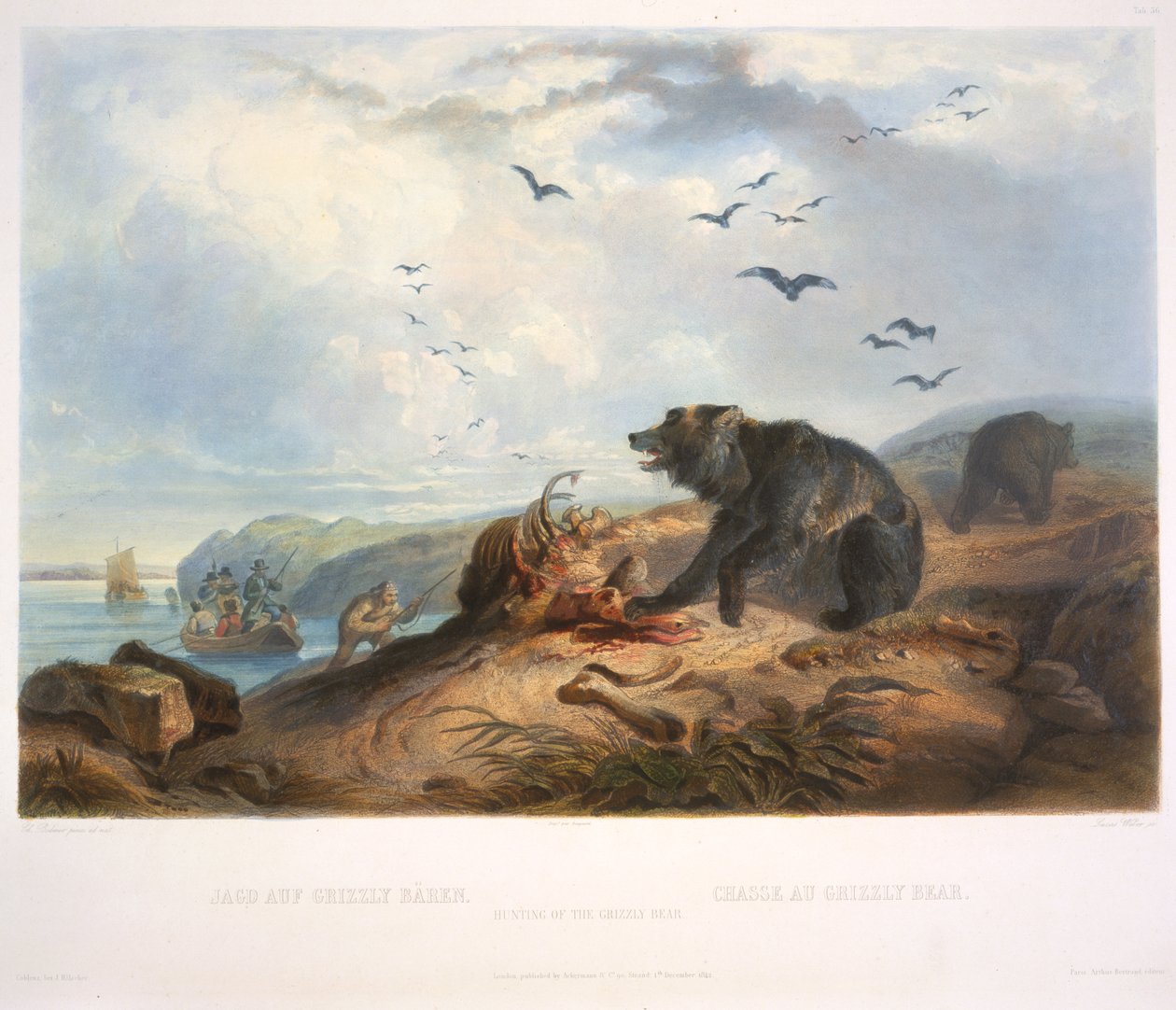 Jakten på grizzlybjörnen av Karl Bodmer