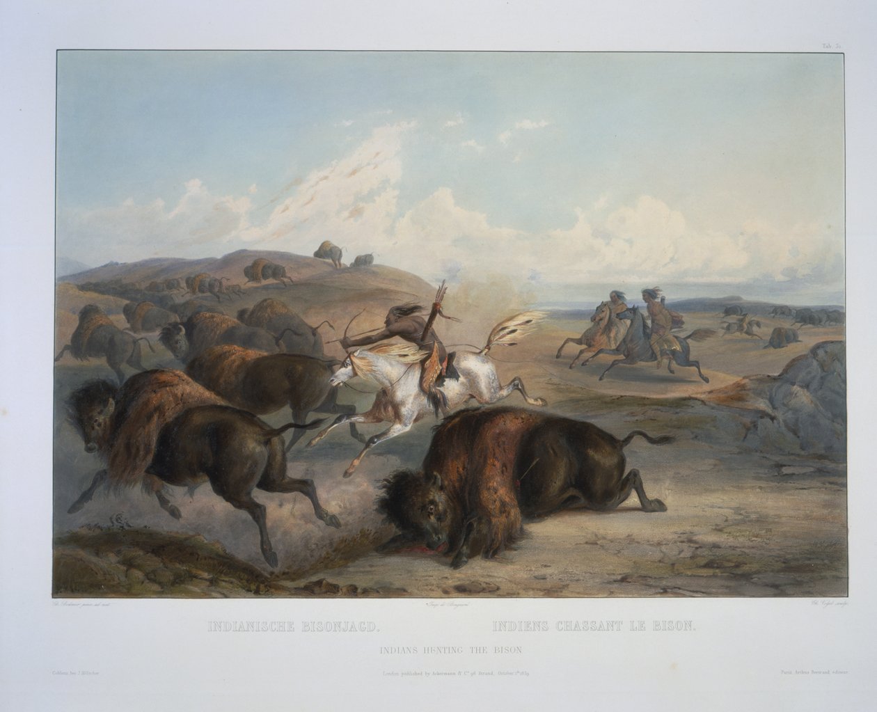 Indianer som jagar bisonen av Karl Bodmer