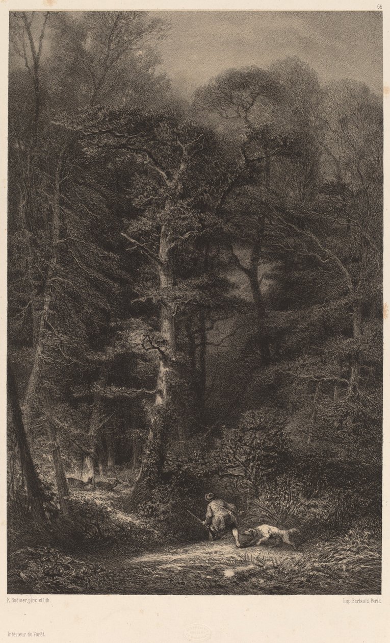 Skogens inre av Karl Bodmer