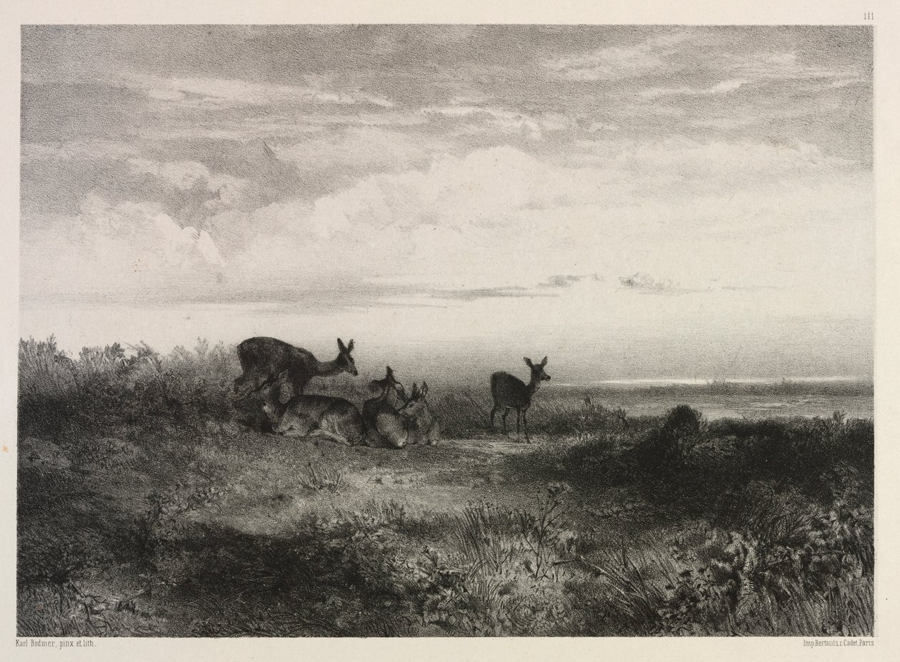 Landskap med rådjur, ca. 1840. av Karl Bodmer