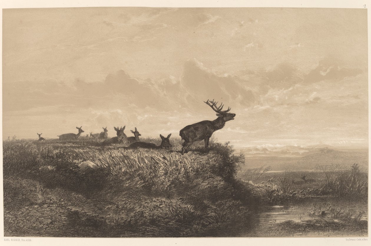 Morgonen. Rådjur och hindar. av Karl Bodmer