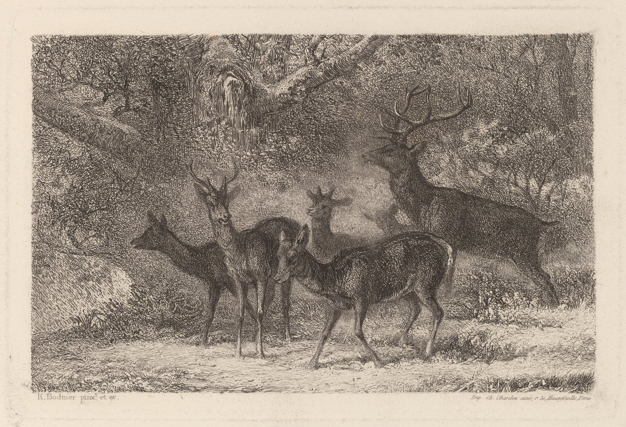 hjorden av Karl Bodmer