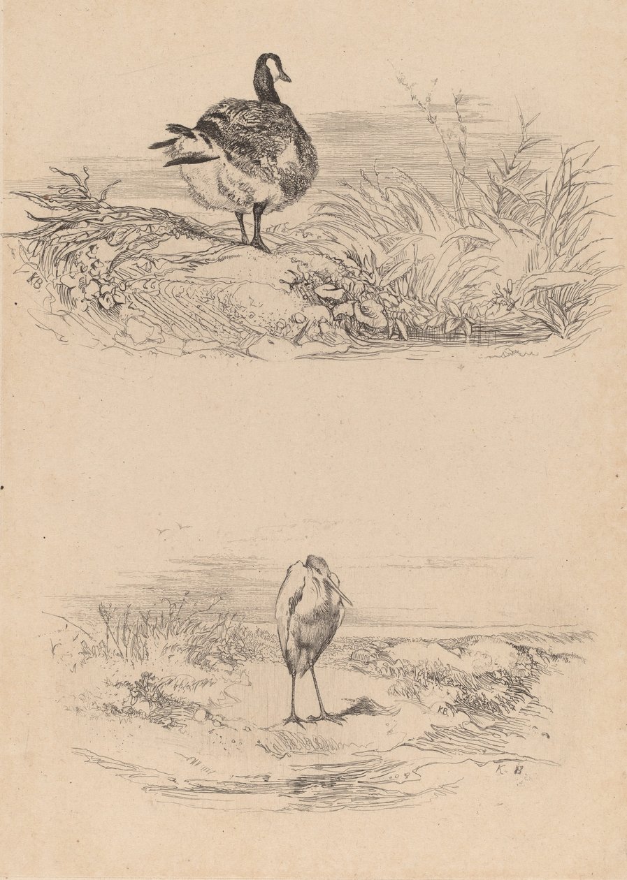 Oj, Heron. av Karl Bodmer