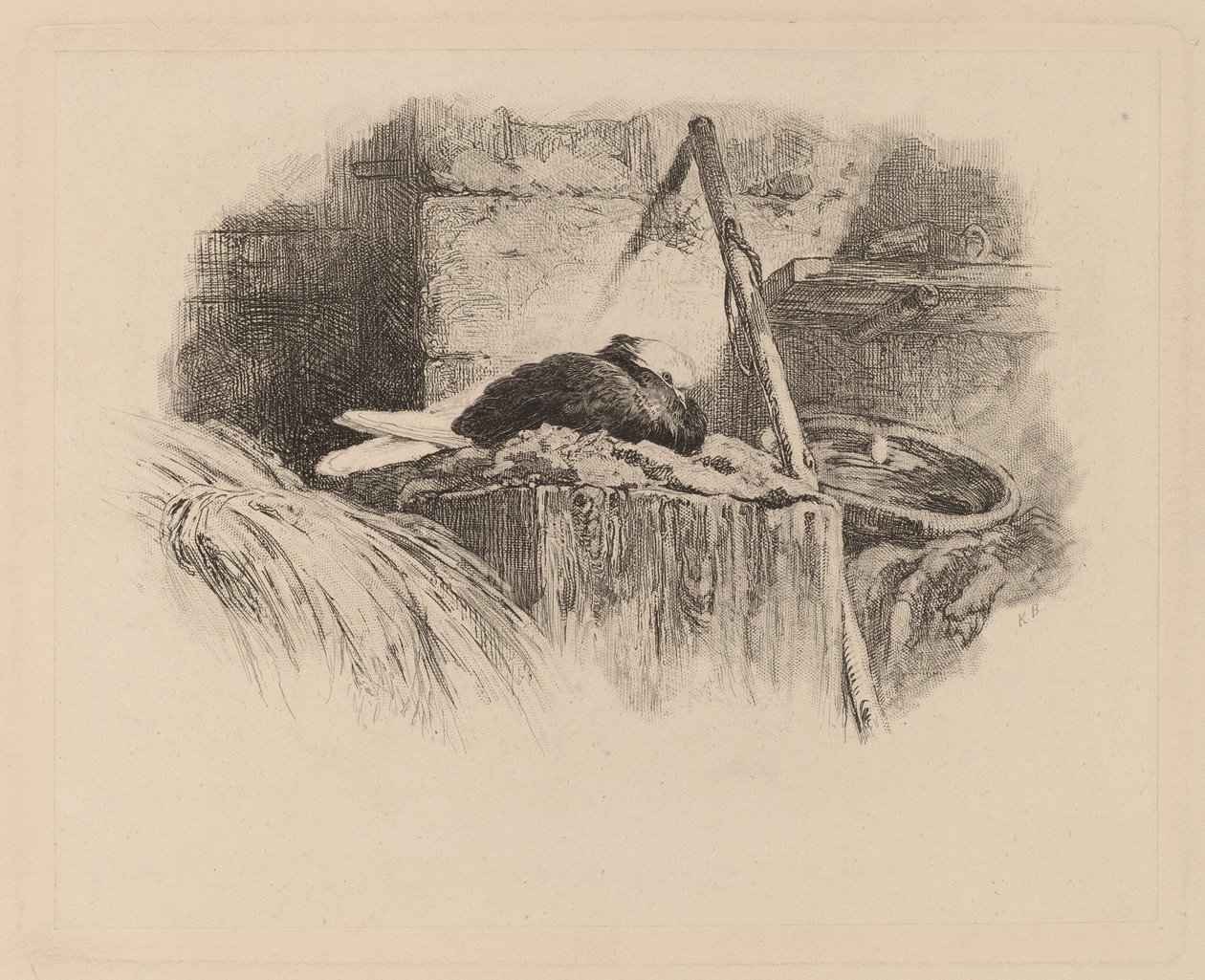 Duva på ett bo. av Karl Bodmer