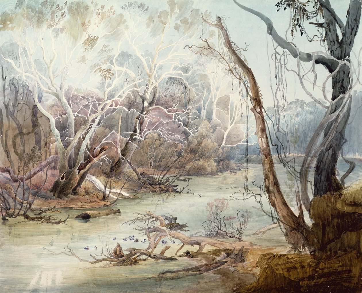 Fox River nära New Harmony, Indiana av Karl Bodmer