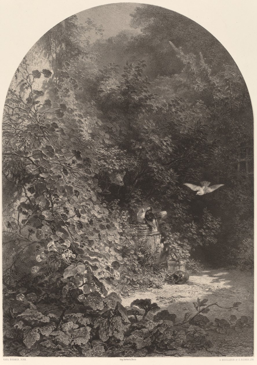 Ett hörn av trädgården. av Karl Bodmer