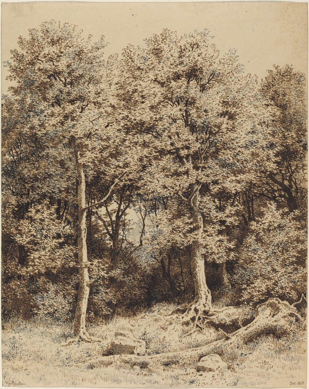 En skog av träd av Karl Theodor Reiffenstein