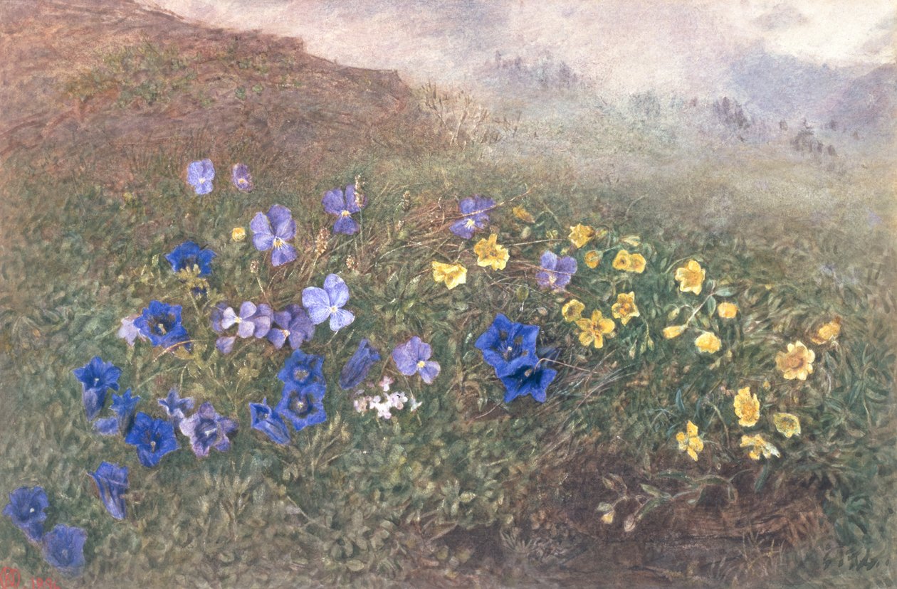 Vårbergsblommor, 1896 av Kate fl.1873 96 Goodwin