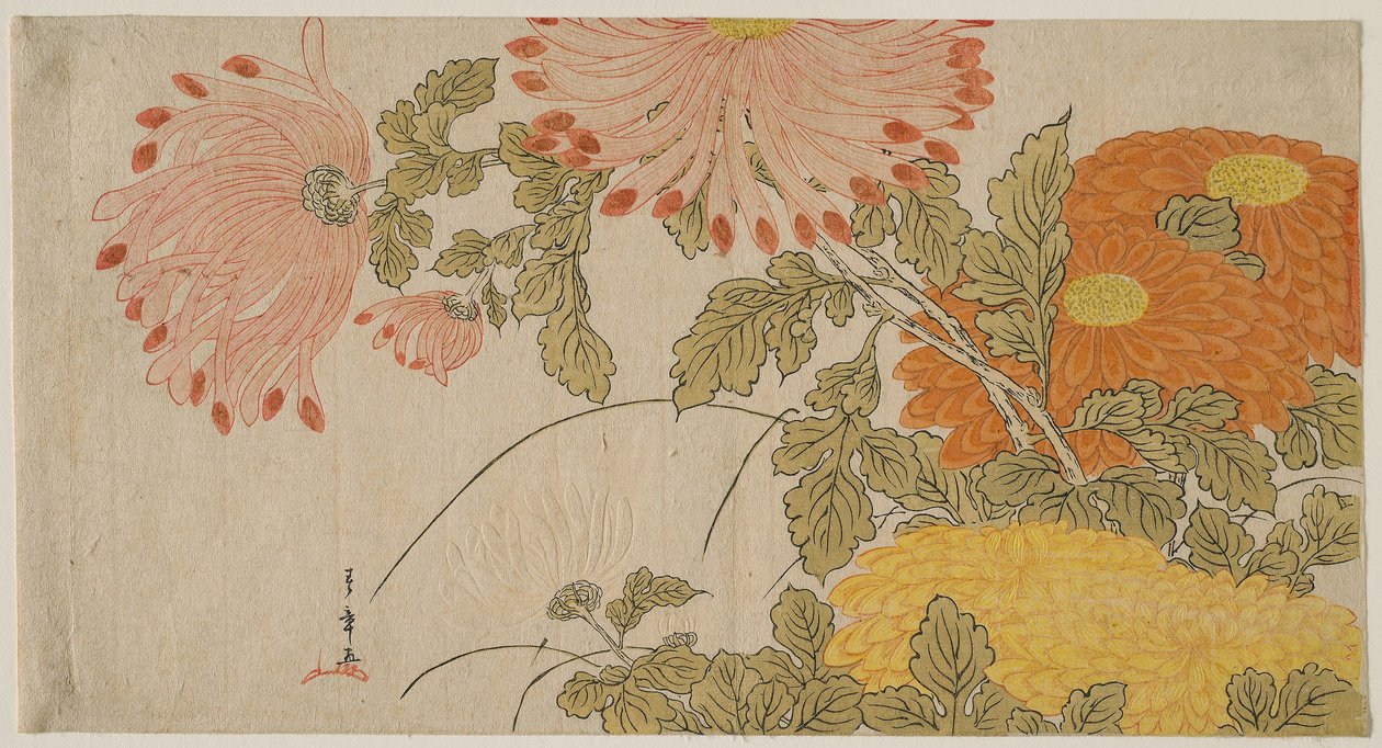 Krysantemum, ca 1780 (trätryck i färg; surimono) av Katsukawa Shunsho